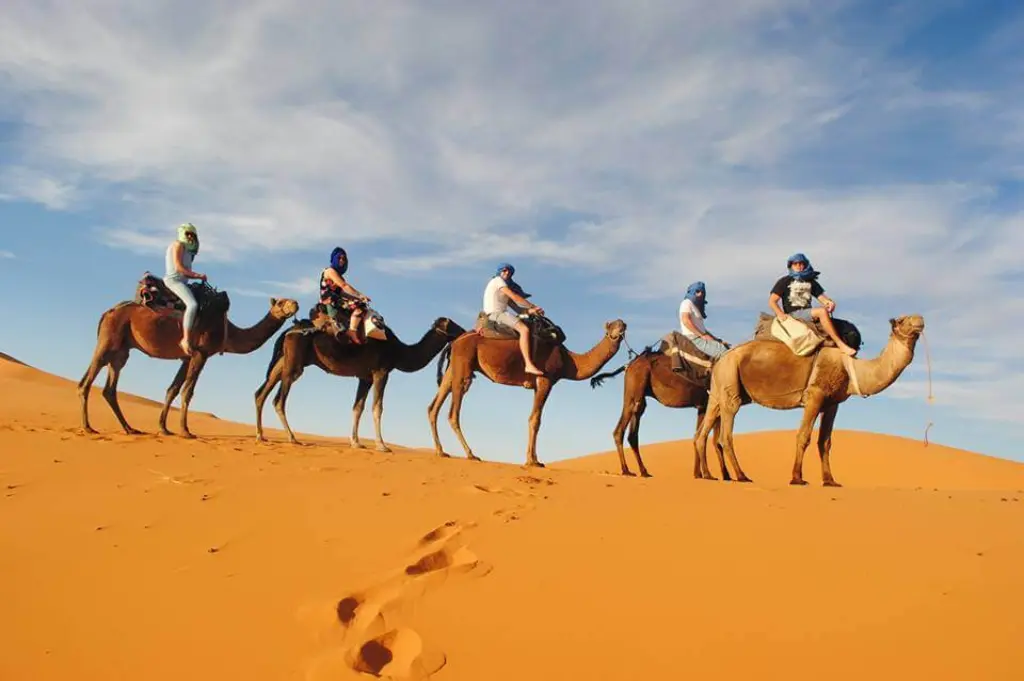 Paysage du désert à Merzouga Maroc avec les dunes de sable d’Erg Chebbi